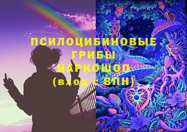 spice Алзамай