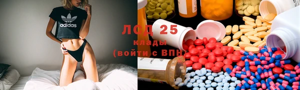 spice Алзамай