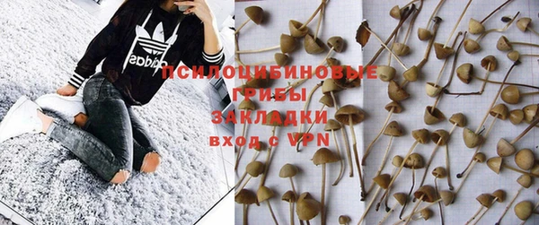 spice Алзамай