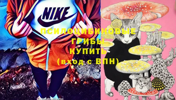 шишки Алексин