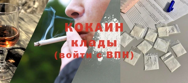 шишки Алексин